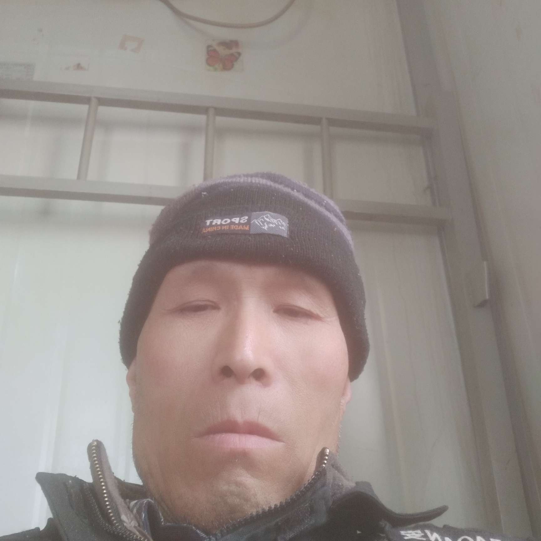 红尘迎动听的照片