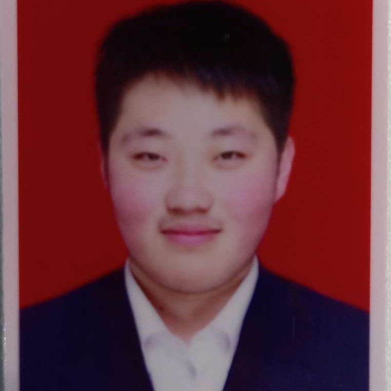 失眠和仙人掌的照片
