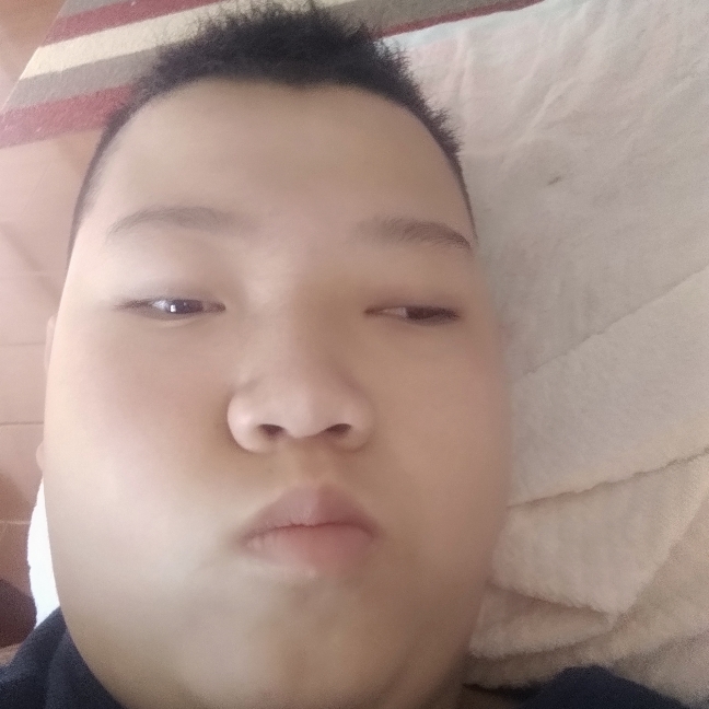日记本美满的照片