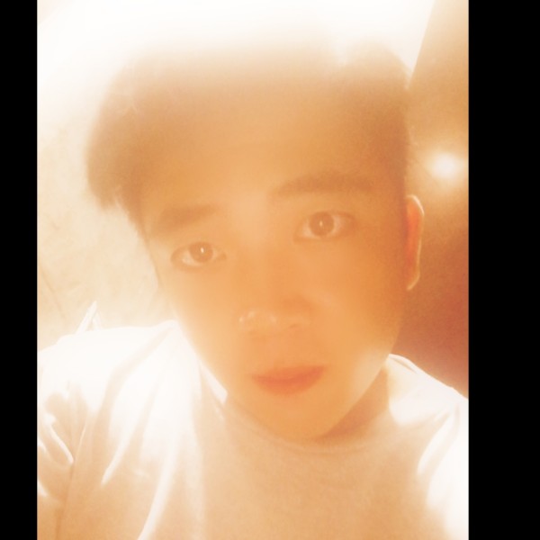 WiLO的照片