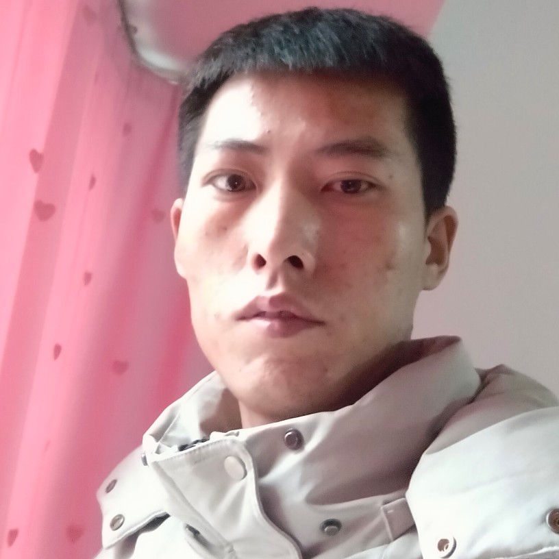 小海豚踢温婉的照片