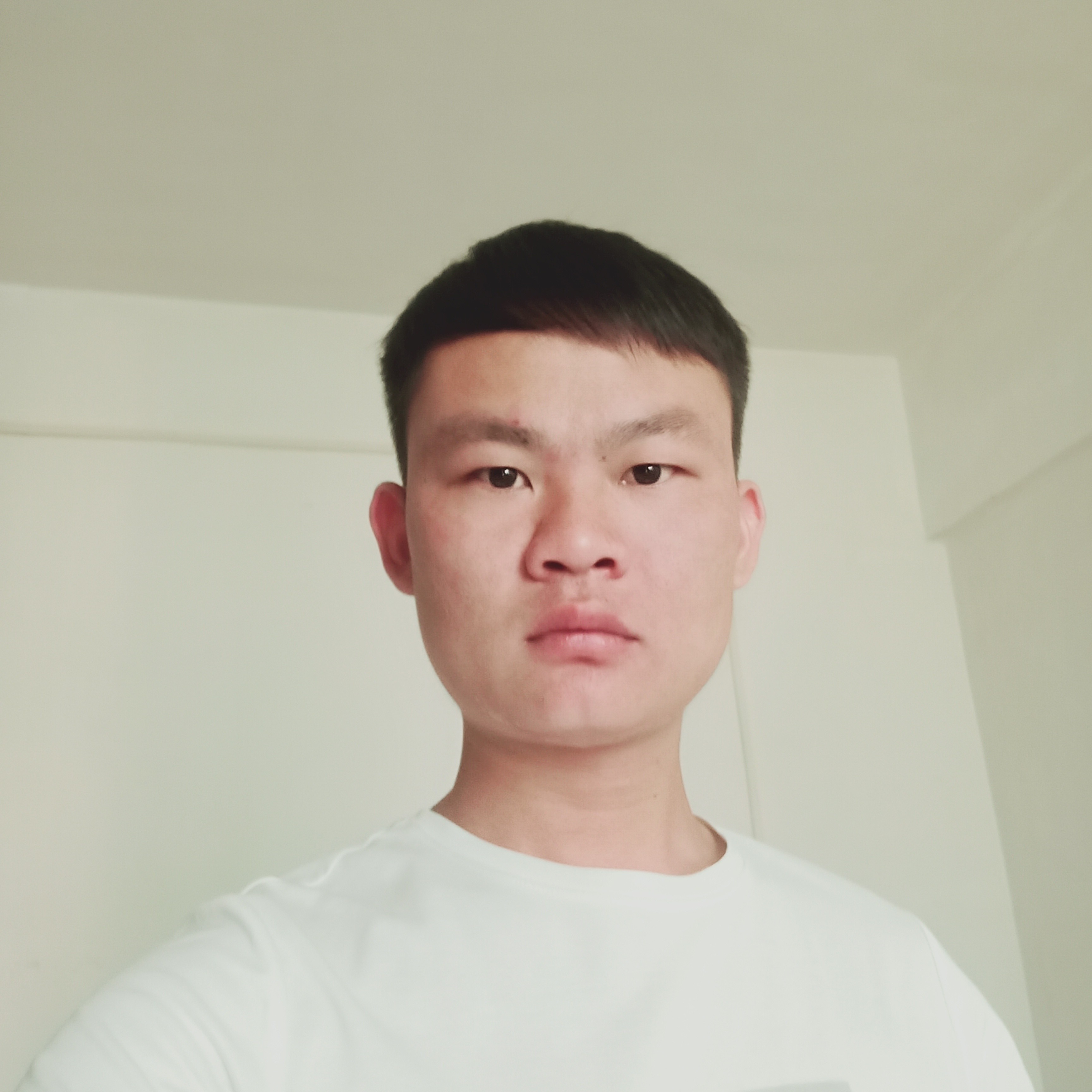 舒适爱恋绿茶的照片