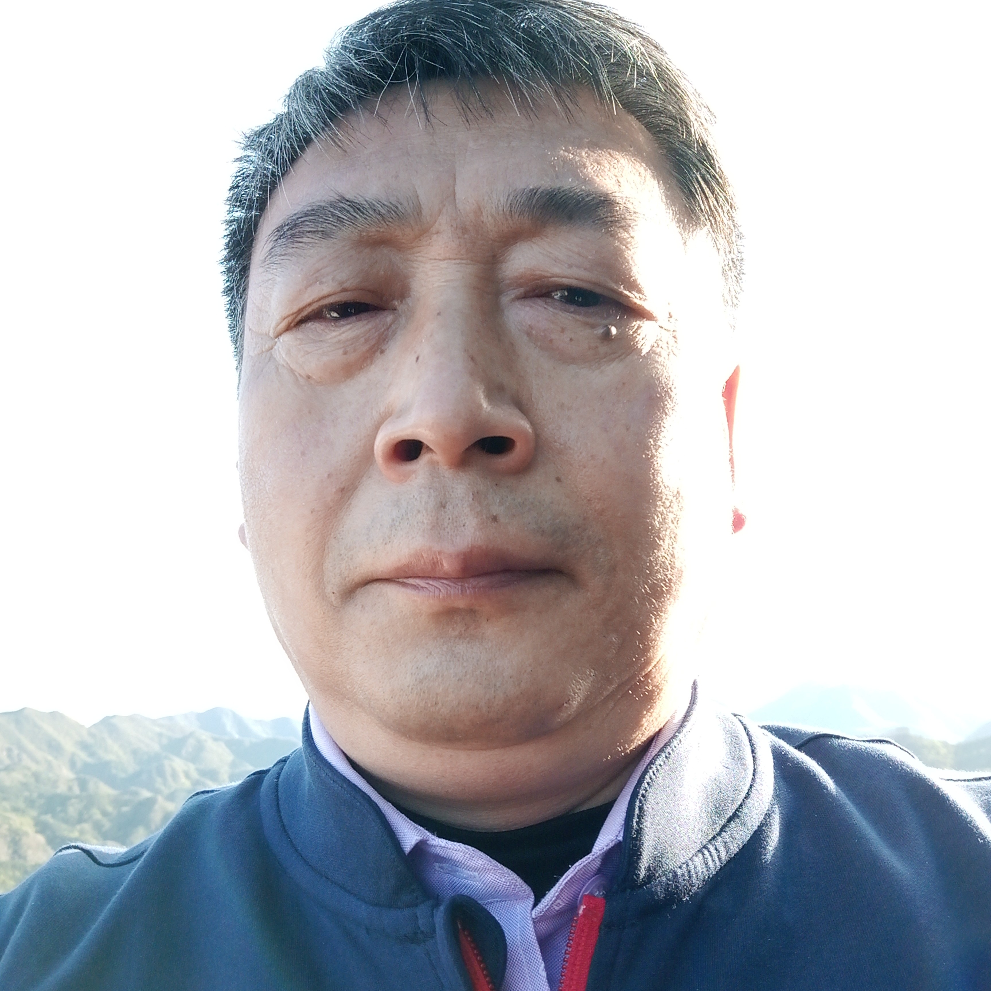 斑驳蹙眉茉莉的照片