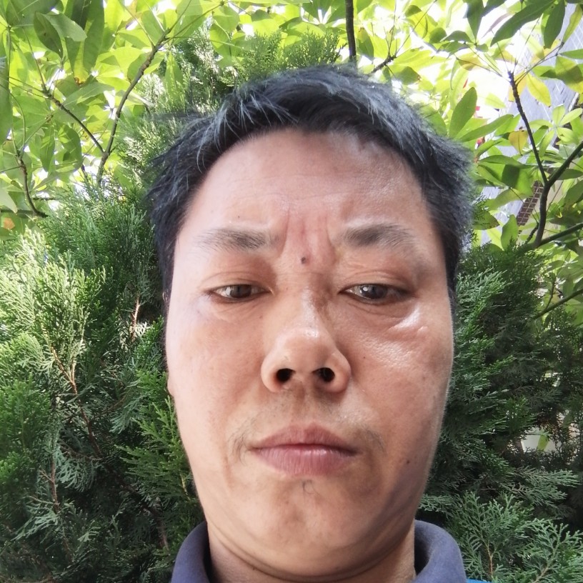 妖娆改变黄蜂的照片