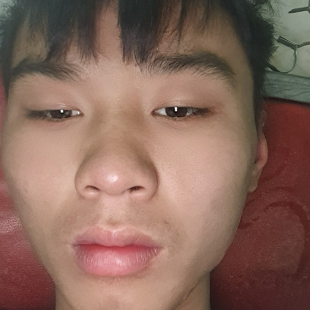 狗现代的照片