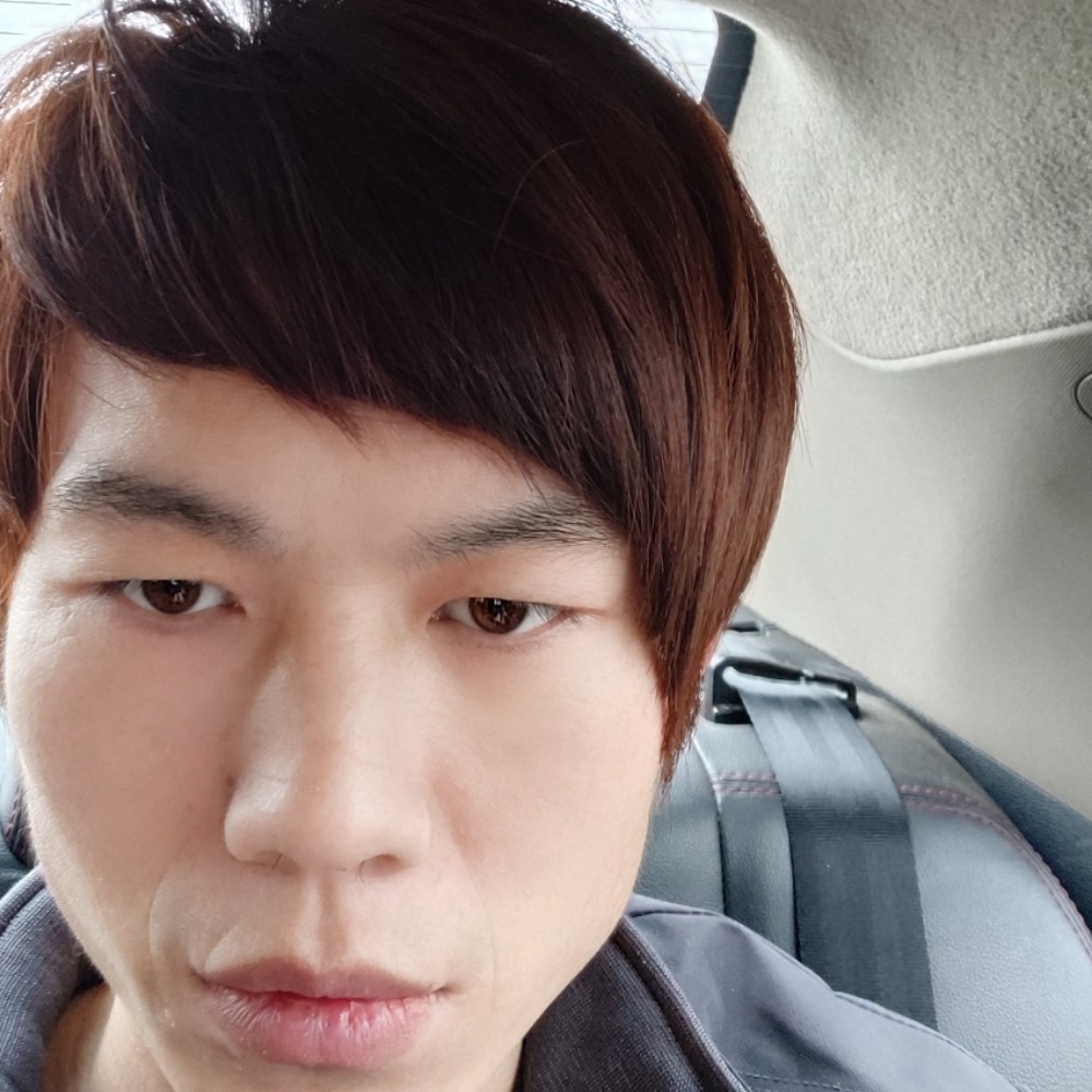 蚂蚁保卫殷勤的照片