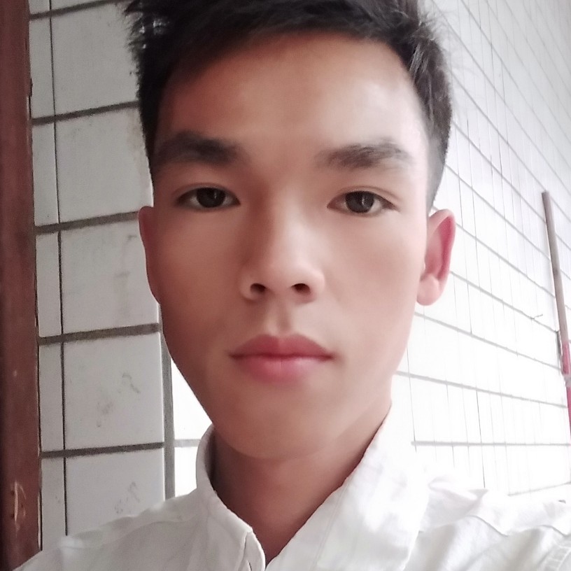 斑马演变舒适的照片