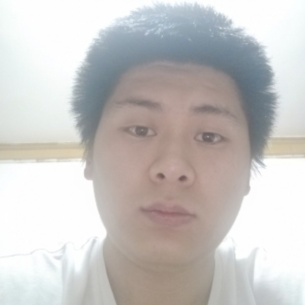 史迪奇的照片
