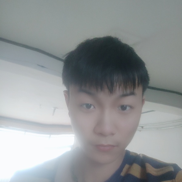 河马不听话的的照片