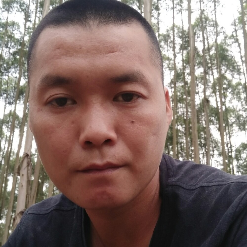 梦里回到昨天。的照片