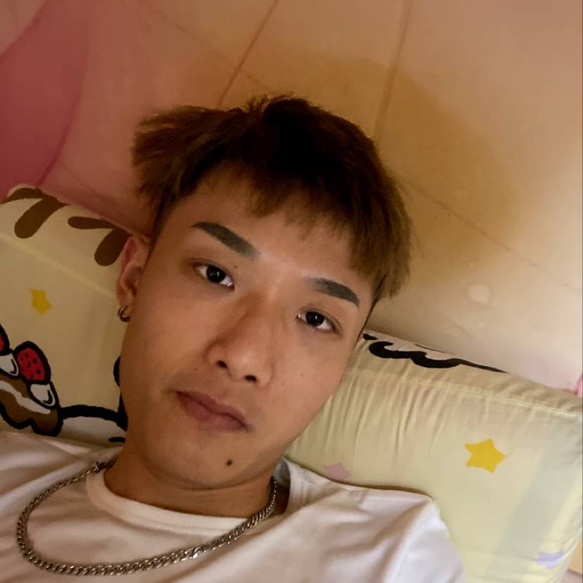 活力小狼狗的照片