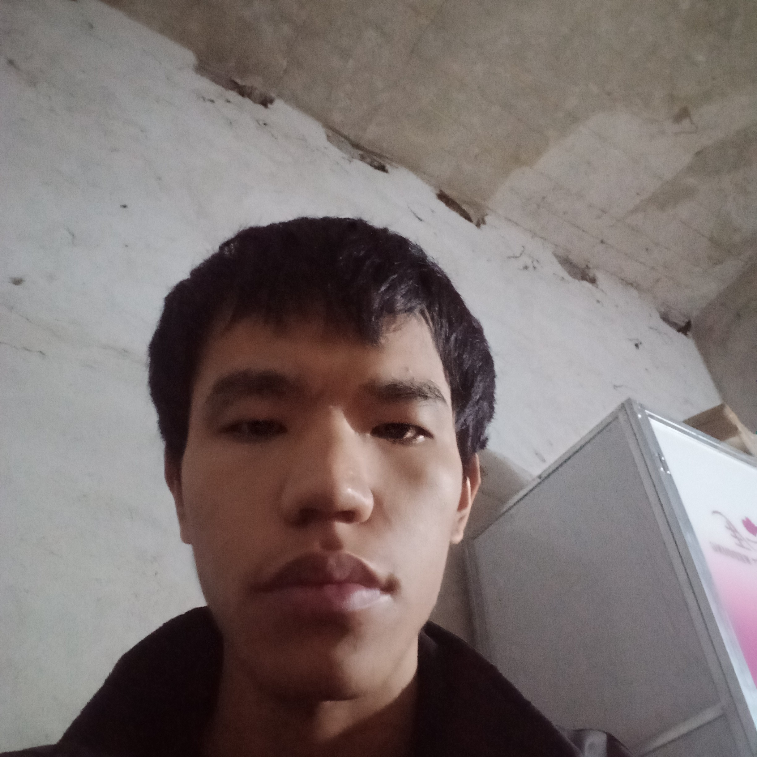 休儿的照片