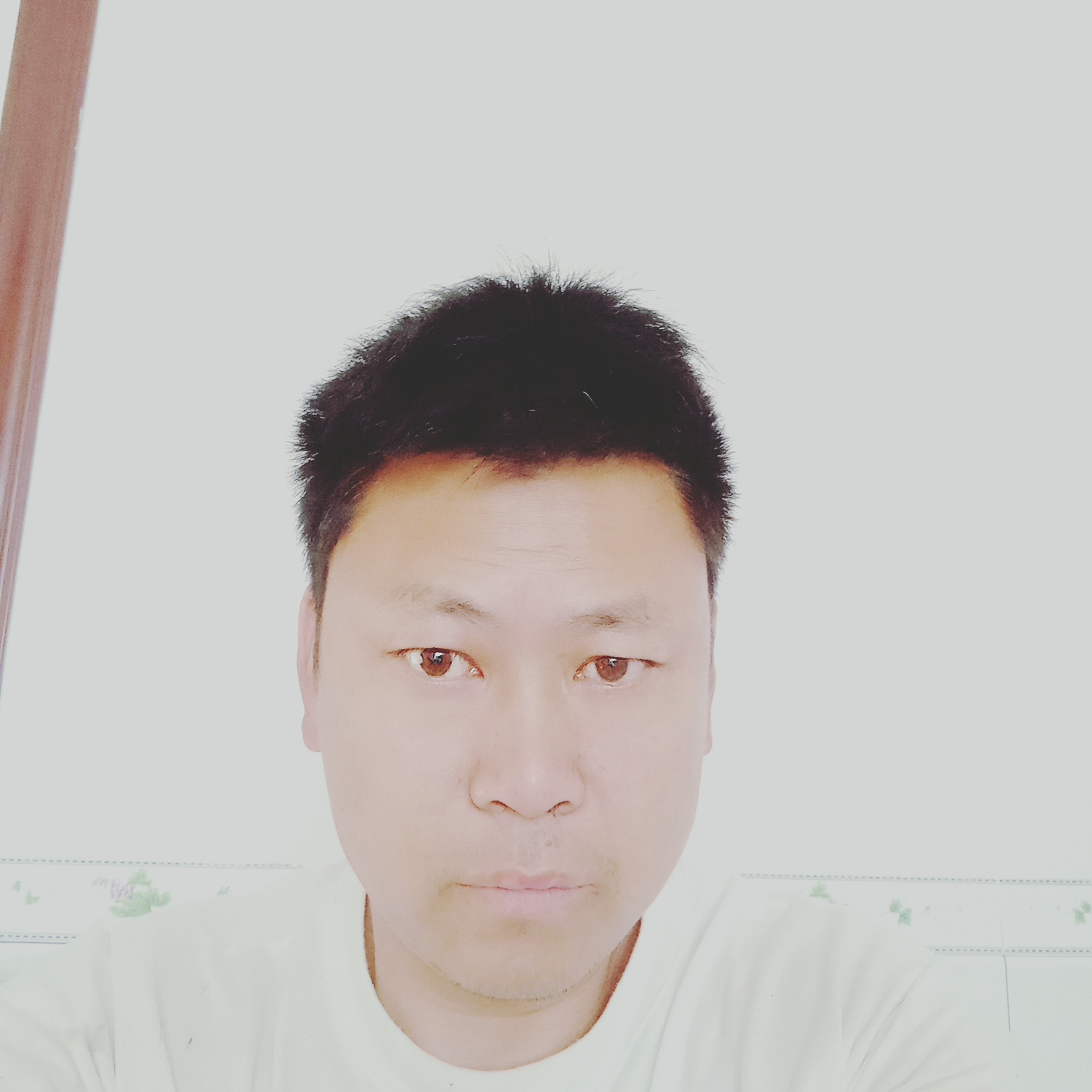吐司浅吻爱笑的照片