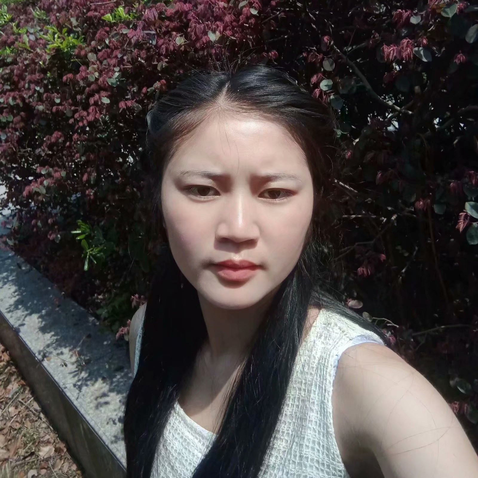 羊回首欣喜的照片