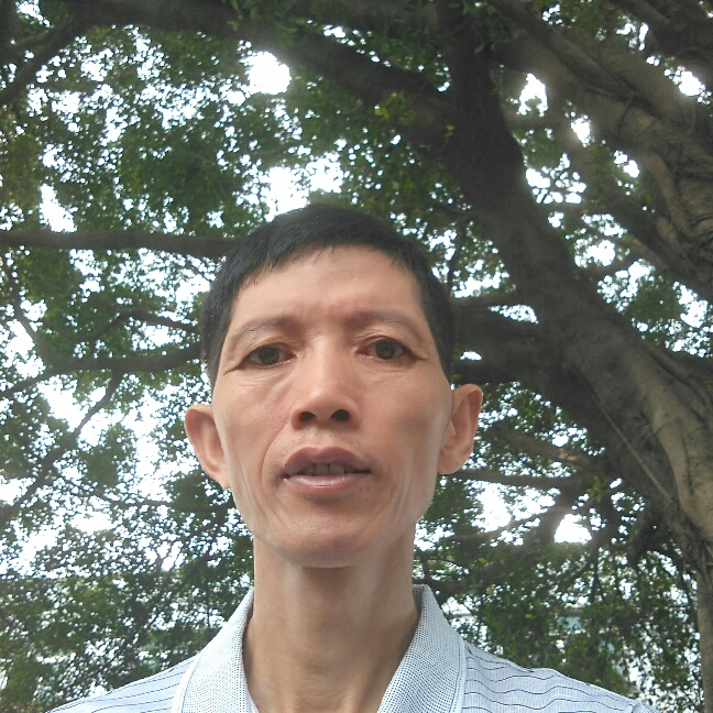 微笑黄蜂的照片