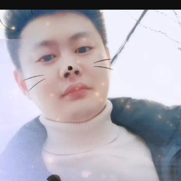 猫咪有流年的的照片