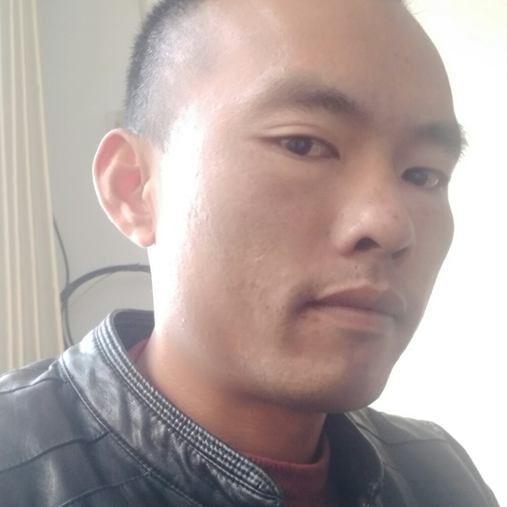 饱满板栗的照片