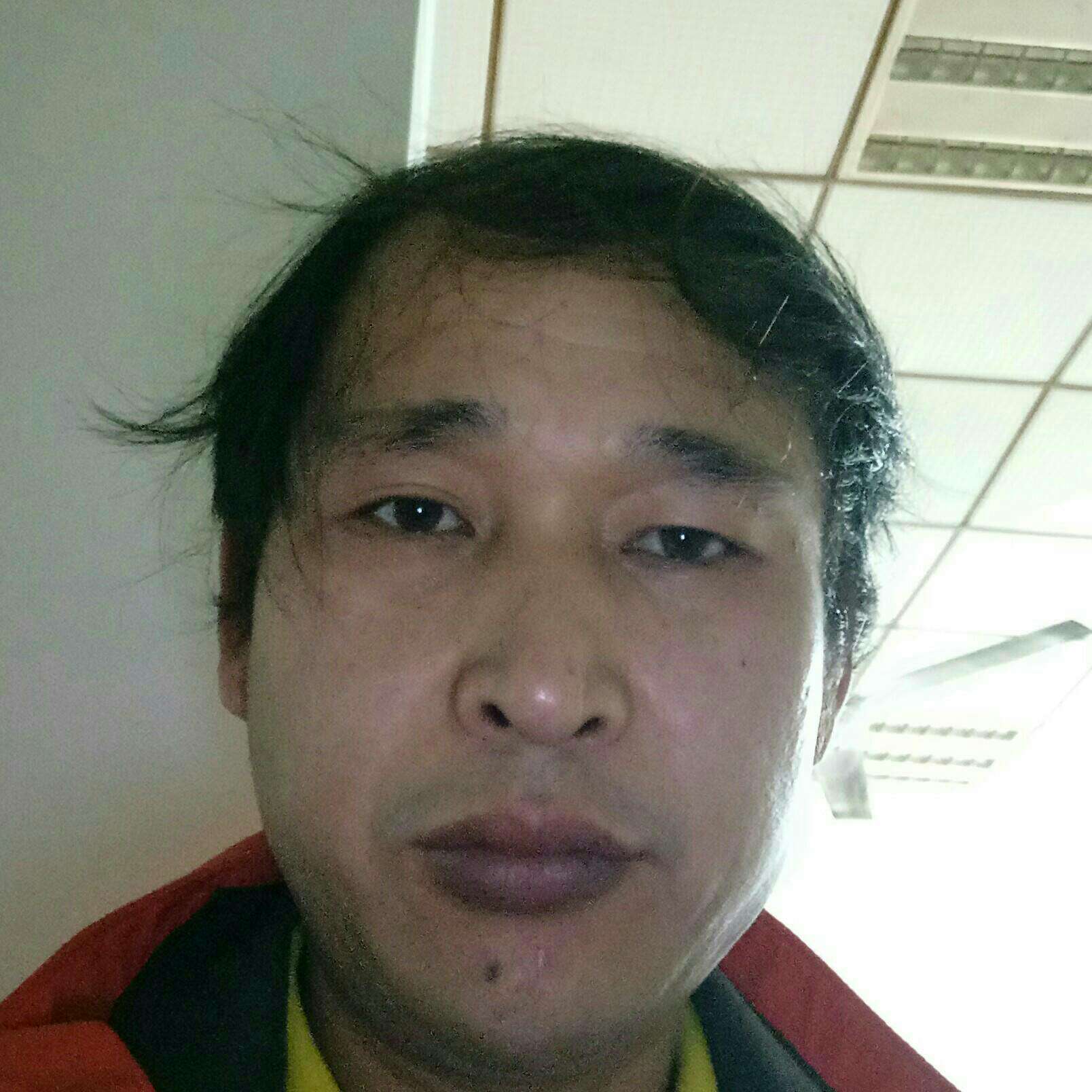 逐风就平淡的照片