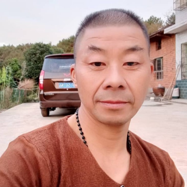 高大西牛的照片