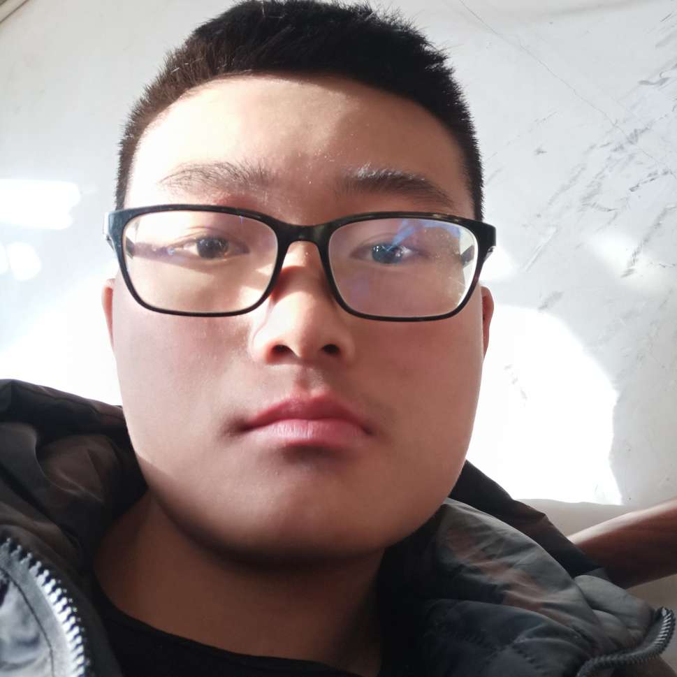 忐忑愿飞鸟的照片