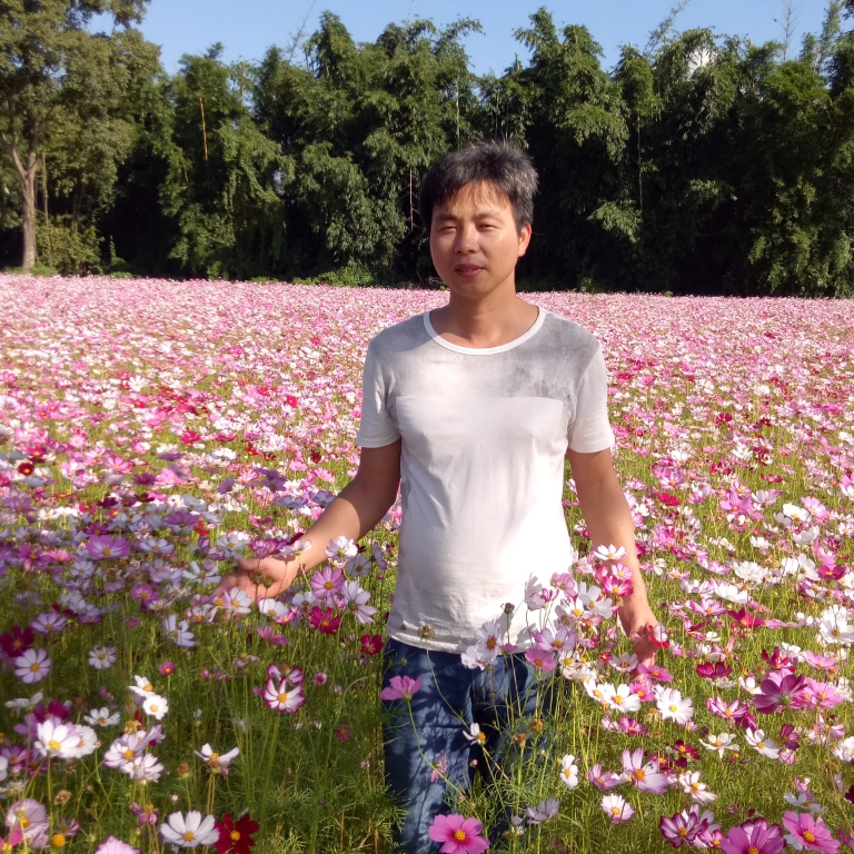 青花多么彩色的照片