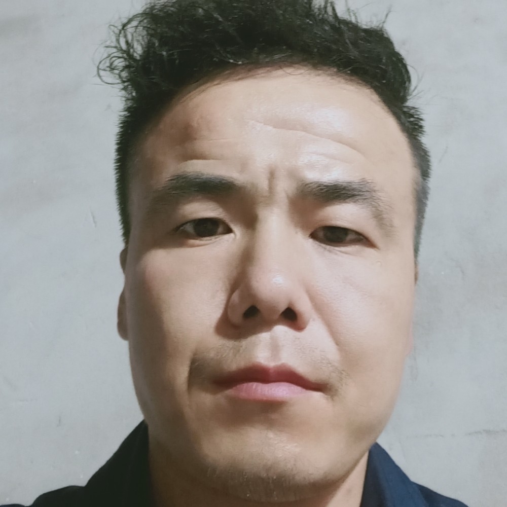 翅膀俊逸的照片