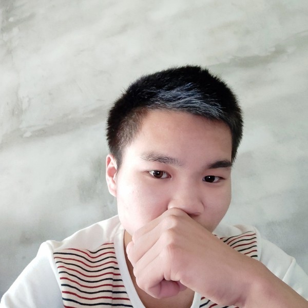 迷彩深林的照片