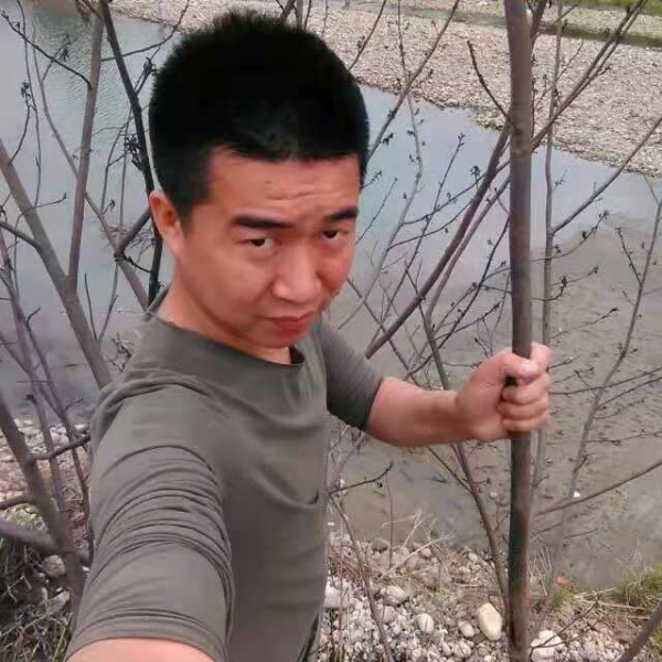 百万兵的照片