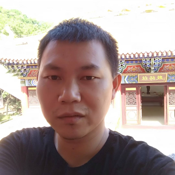@秋枫叶的照片