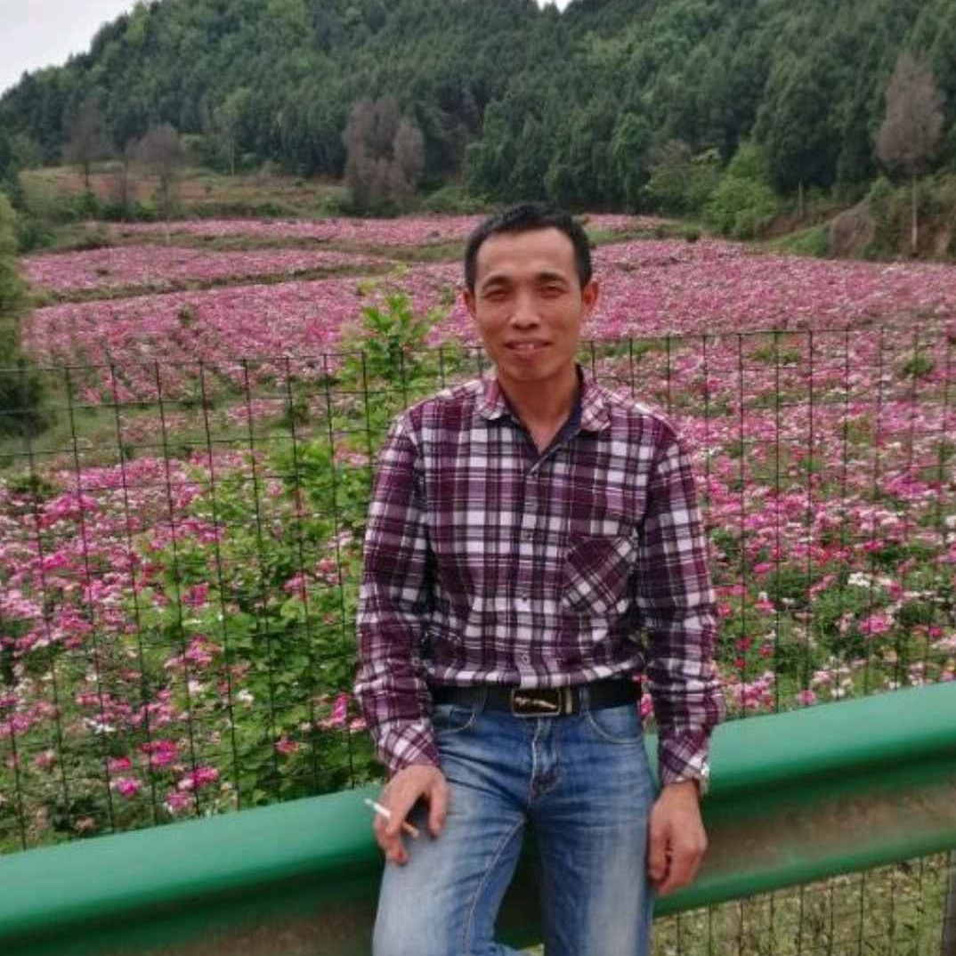 蓉城小子的照片