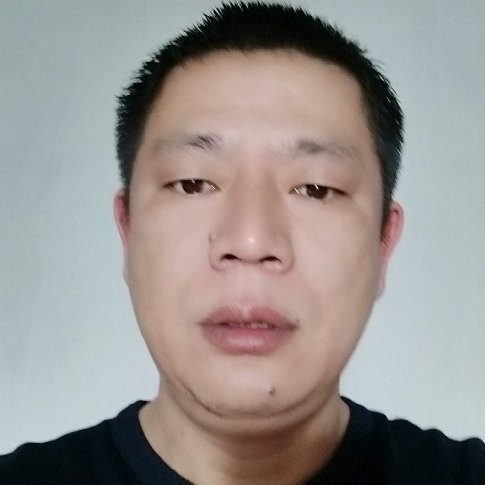 健壮相许猫咪的照片
