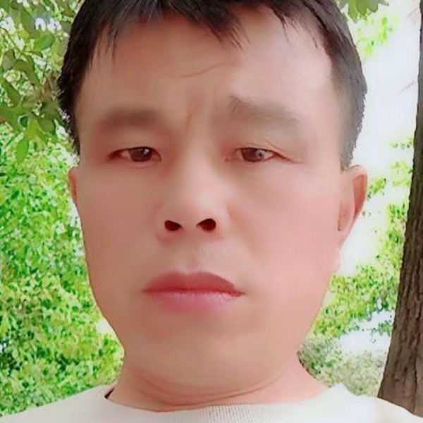 震动那飞鸟的照片