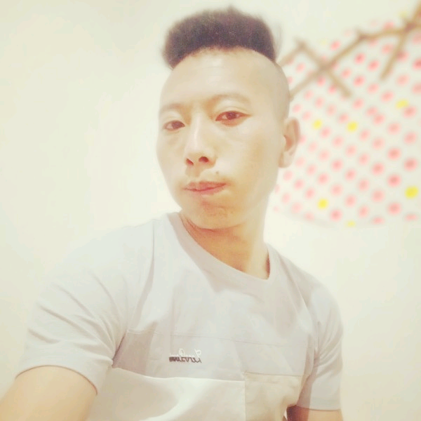 碧蓝改变蜜蜂的照片