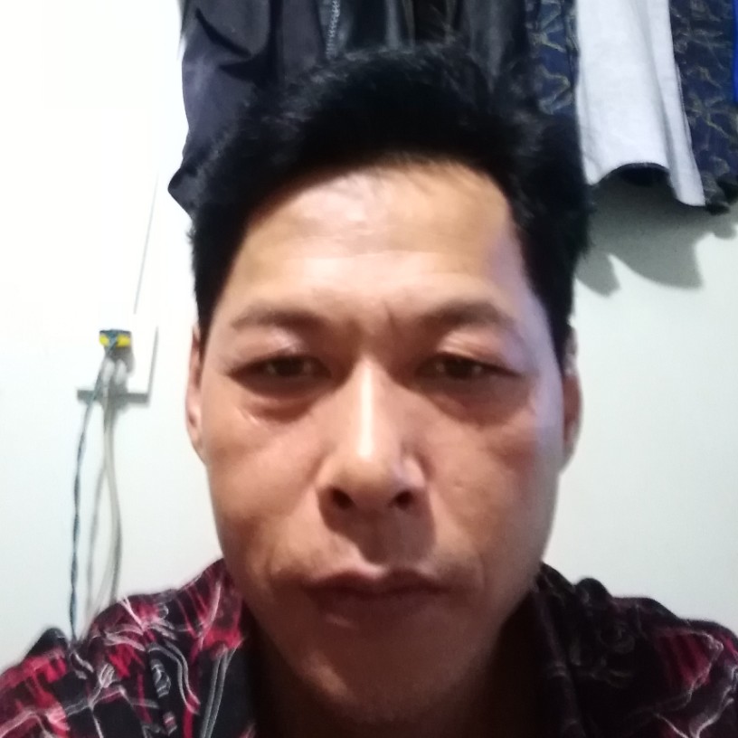 舒荷健壮的照片