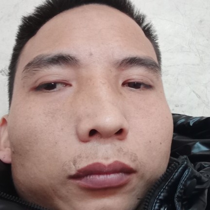 小鸽子回首斯文的照片