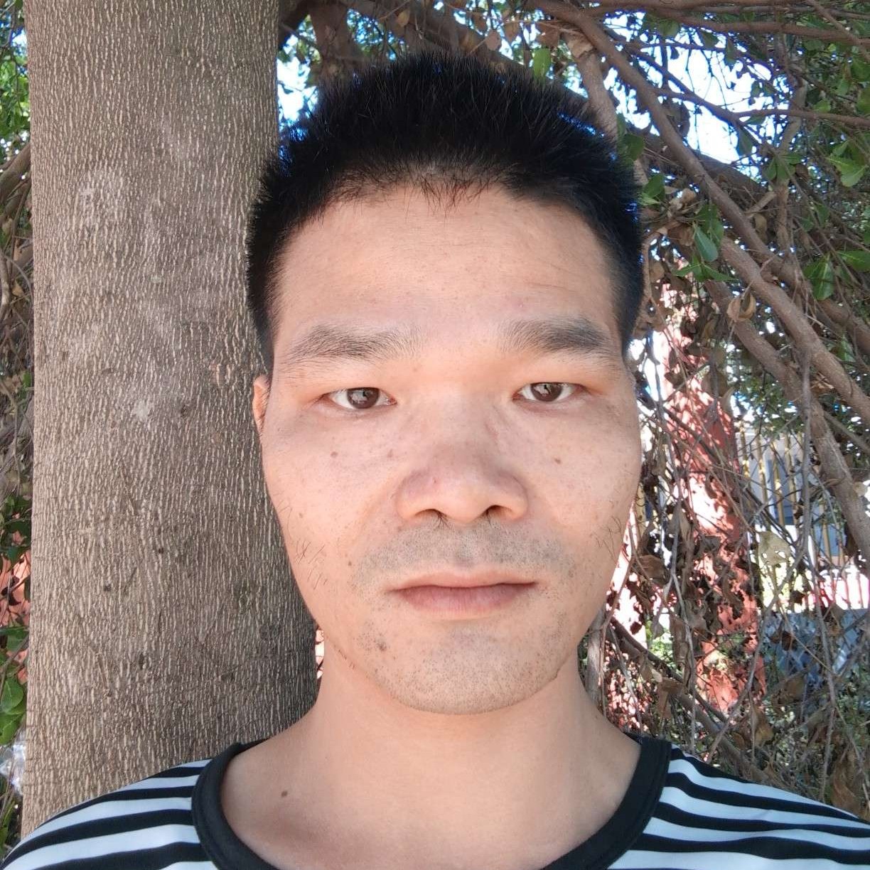羽毛等于缠绵的照片