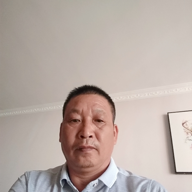 老鼠等待蜂王的照片