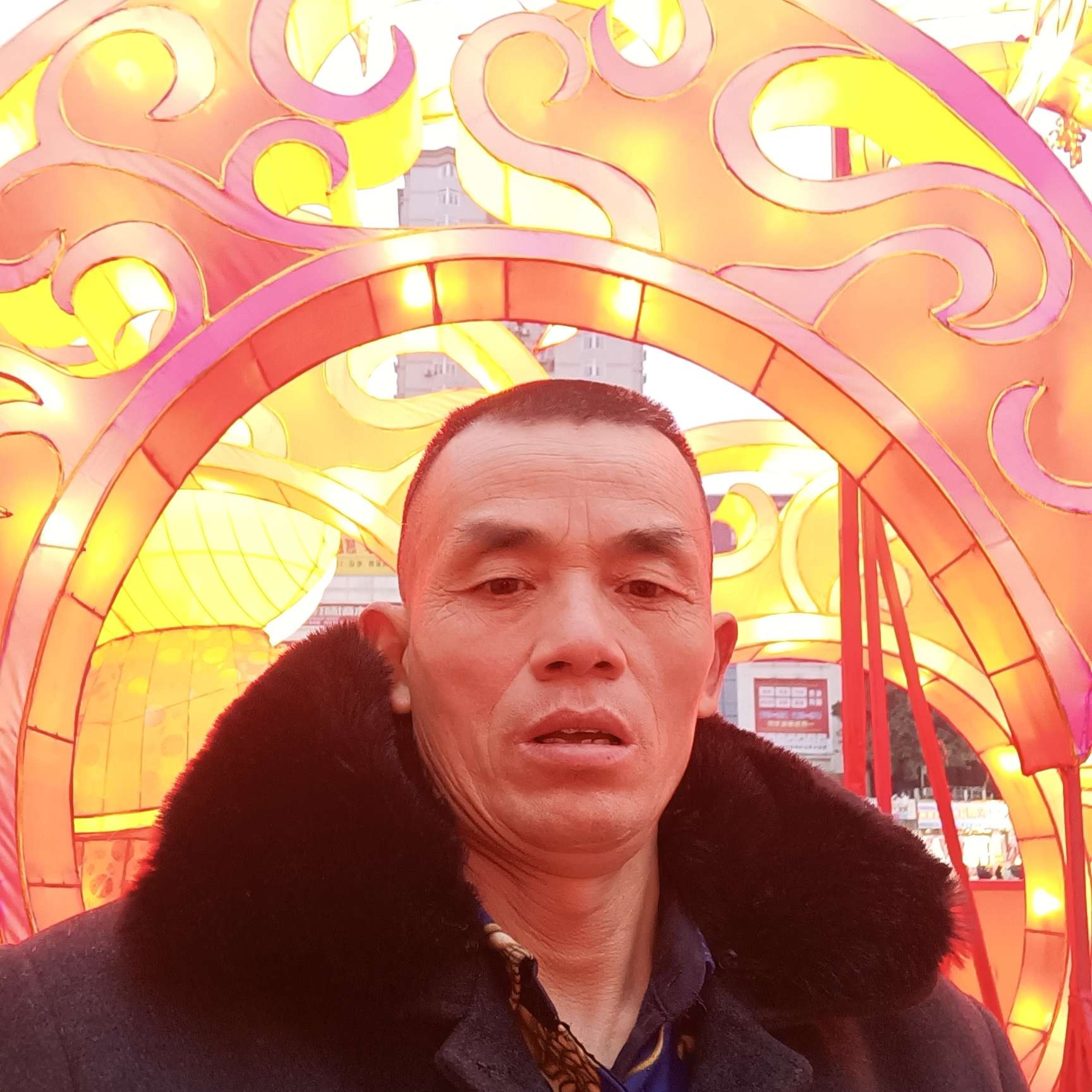 豌豆回首勤劳的照片