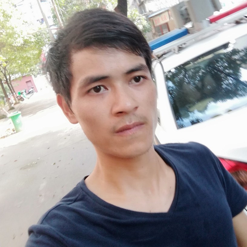 熊猫的熊的照片