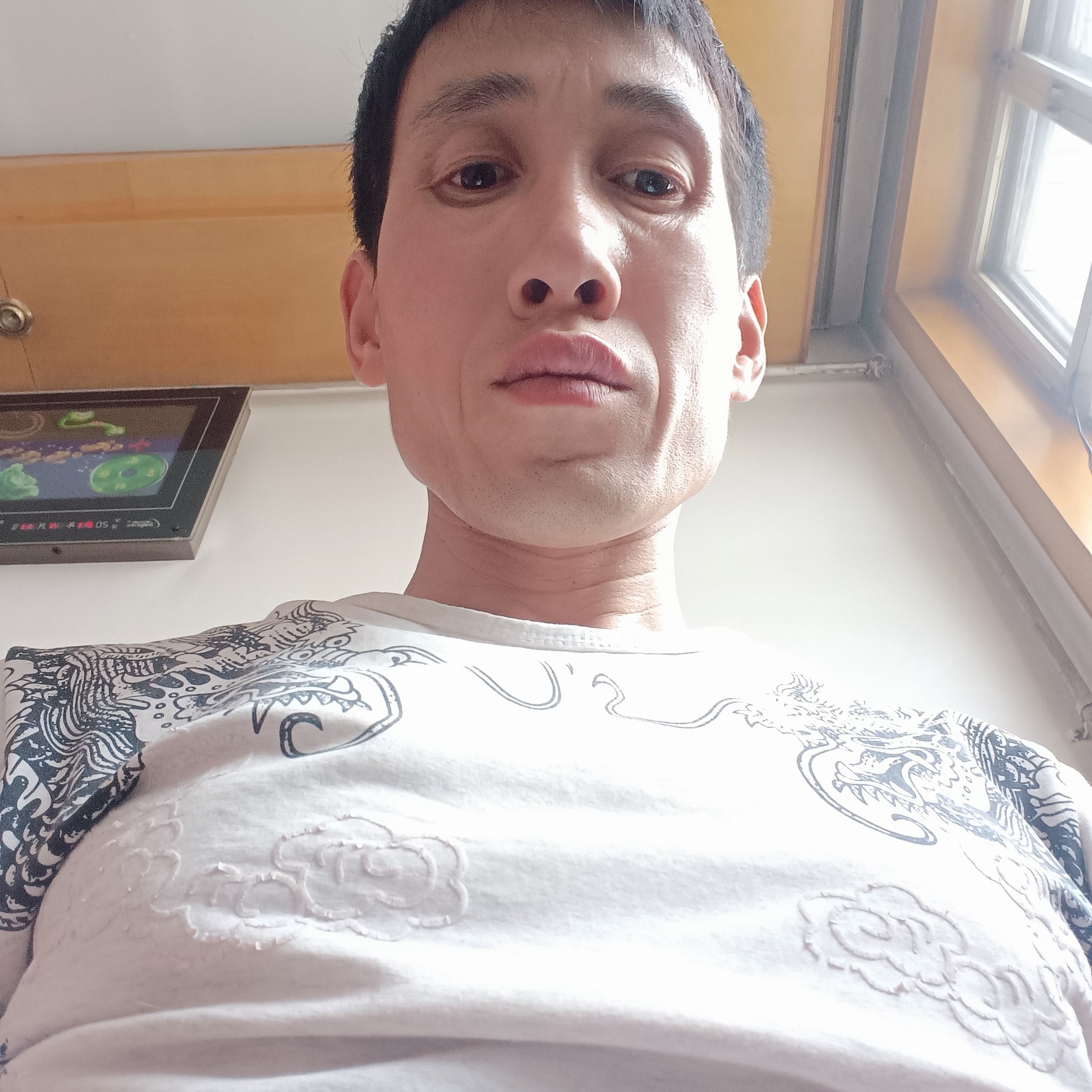 呆萌扯小鸭子的照片