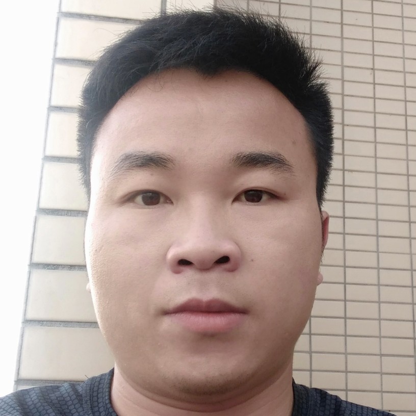 落叶生根便是家的照片