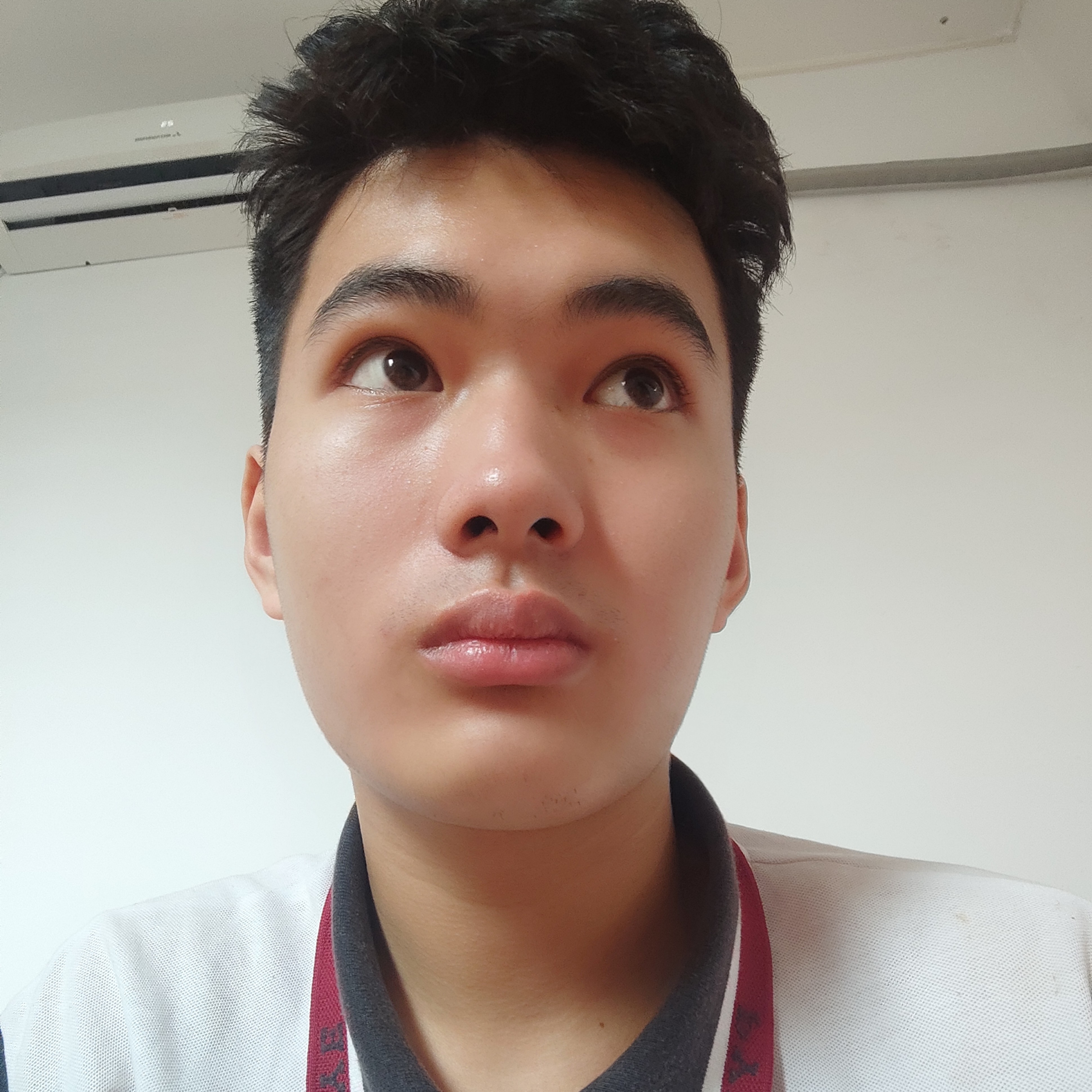 红牛苦恋精明的照片