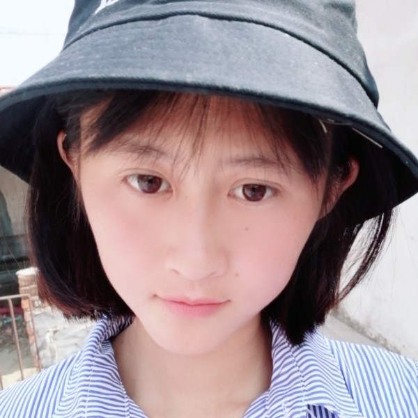 大树丰猫的照片