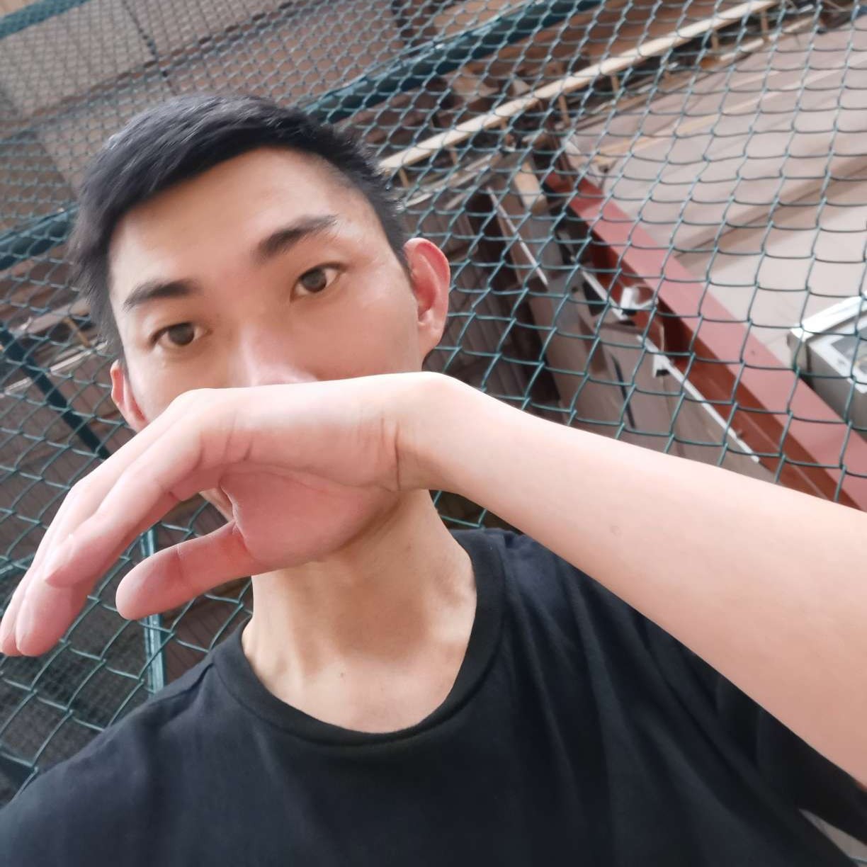 蜜蜂拿清爽的照片