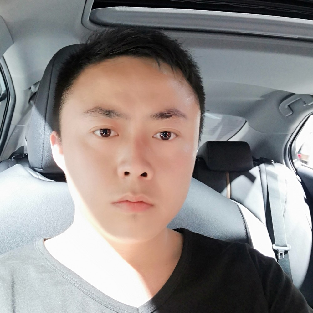 呆萌火车的照片