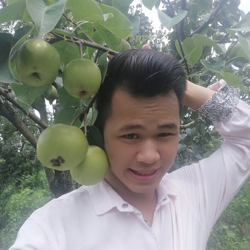 散落的  誓言的照片