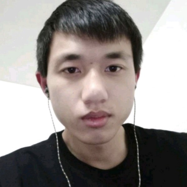 单身企鹅的照片
