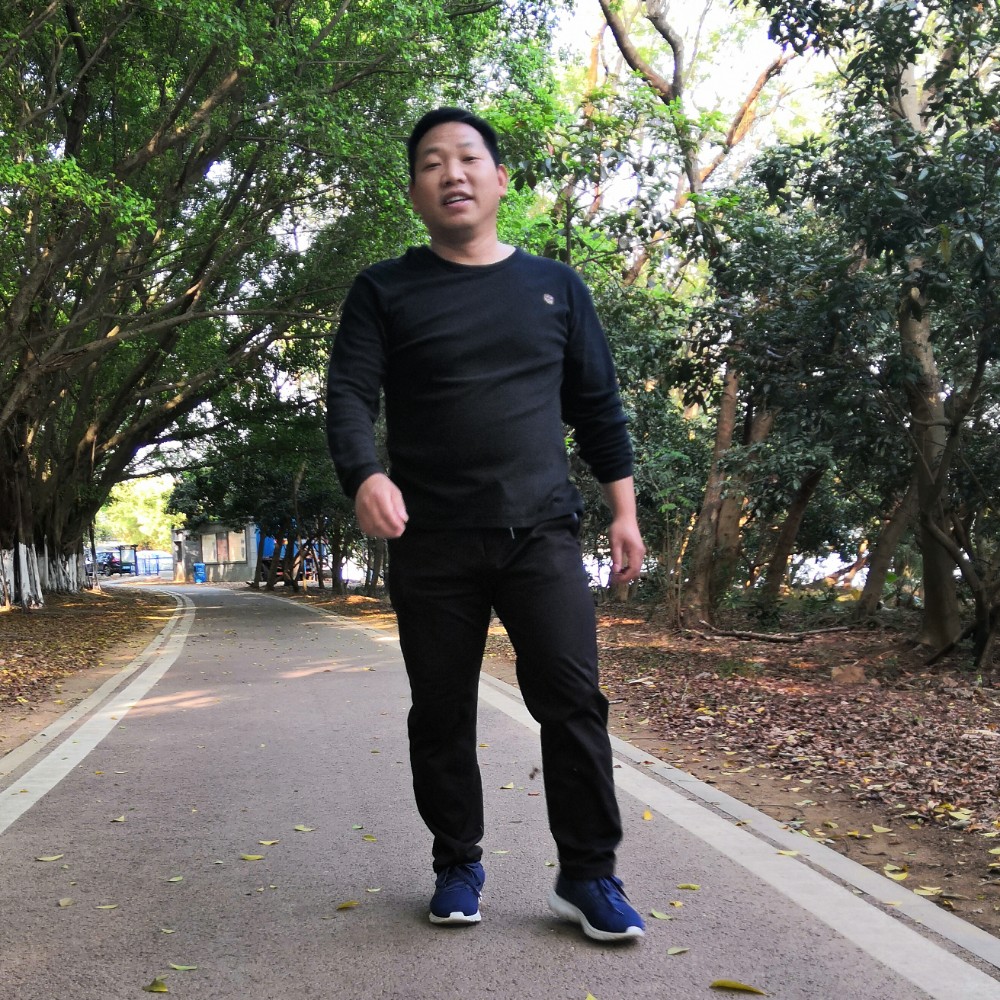 小海豚繁荣的照片