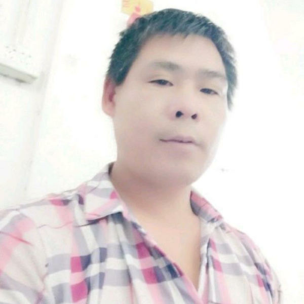 小鸭子爱恋寒冷的照片