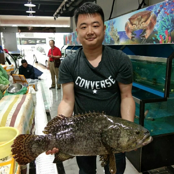 务实有冬耀的照片